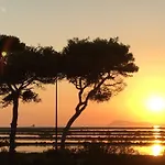 Le Club Des Cigales *