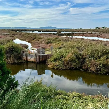 Le Club Des Cigales Appartement Hyères