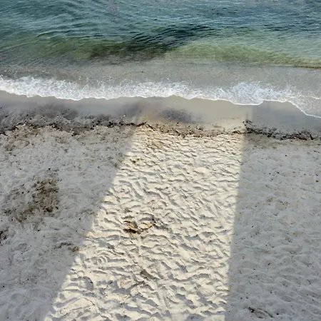 Le Club Des Cigales *