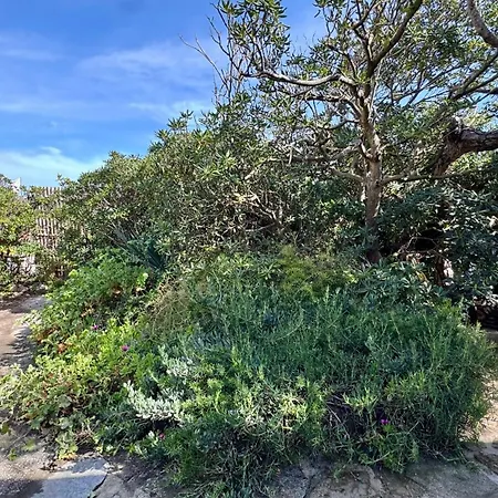 Appartement Le Club Des Cigales