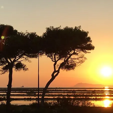 Le Club Des Cigales *