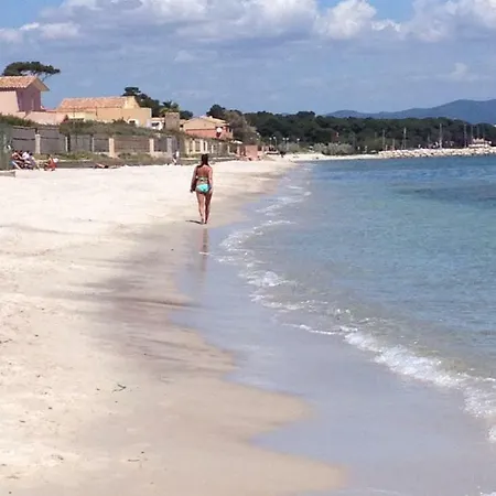 Le Club Des Cigales *