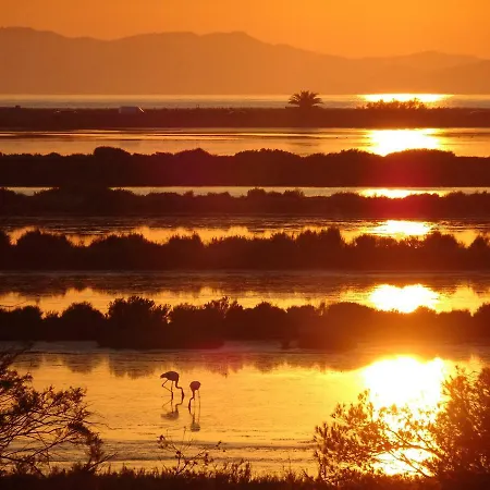 Le Club Des Cigales 耶尔