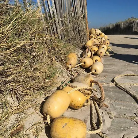 דירה Le Club Des Cigales *